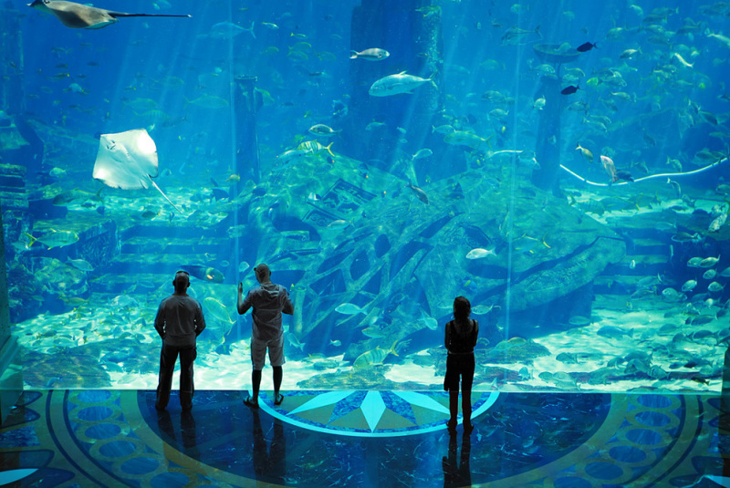 Čo robiť Čo robiť